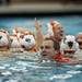 Princeton head coach Luis Nicolao celebrates winning the CWPA Final in the pool with his players on Sunday, April 28. Daniel Brenner I AnnArbor.com